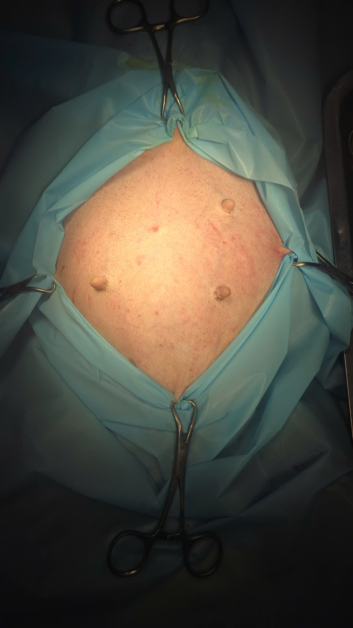 Bệnh viện Thú Y Gia Kiệm - Hình 13